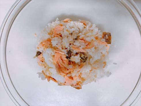鮭ごはん ごはん ねとめし