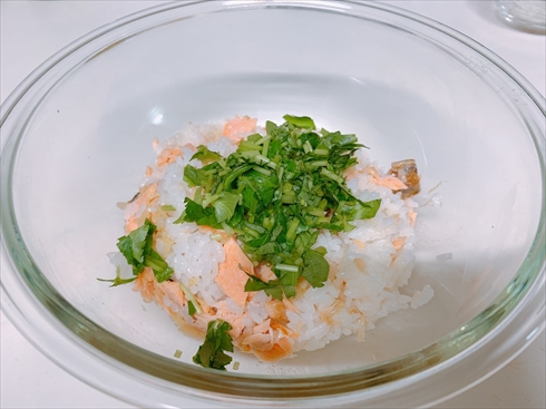 鮭ごはん ごはん ねとめし