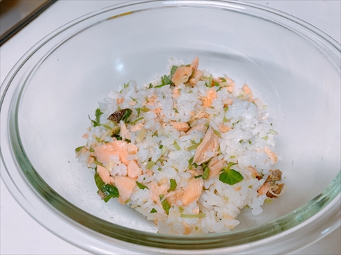 鮭ごはん ごはん ねとめし