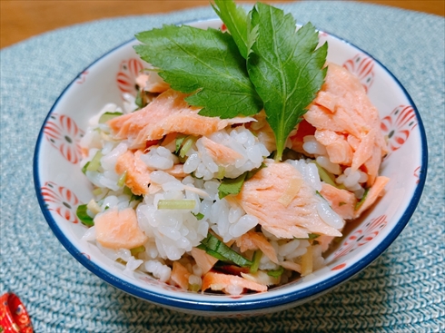 鮭ごはん ごはん ねとめし