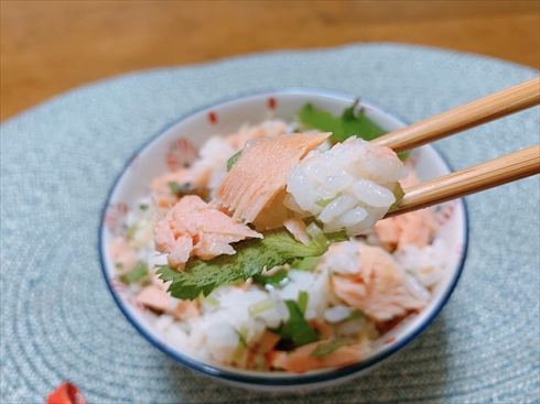 鮭ごはん ごはん ねとめし
