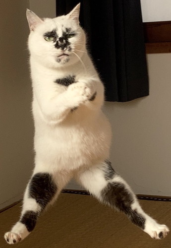 「人」という字の成り立ち