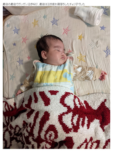 チェリー吉武 たんぽぽ 白鳥 ワンオペ 育児