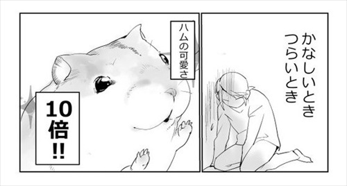 どんなときもハムスターがかわいい