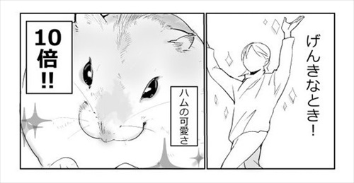 どんなときもハムスターがかわいい