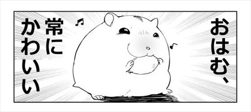 どんなときもハムスターがかわいい