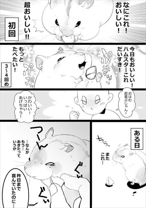 どんなときもハムスターがかわいい