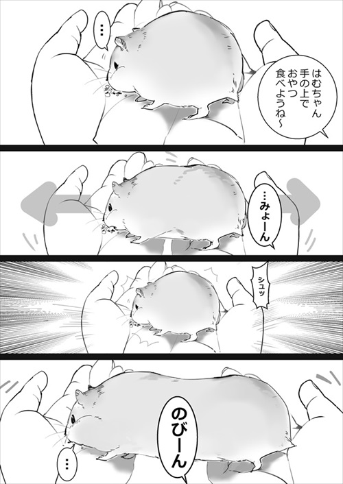 どんなときもハムスターがかわいい