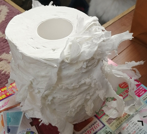 私を疑うんですかトイレットペーパートリミング