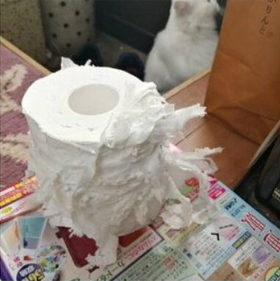 そっぽを向く神無月ちゃん