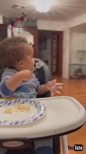 「Baby Bids Goodbye to His Elder Brother Before He Leaves For College After Thanksgiving - 1272812」