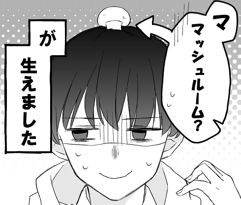 マッシュルーム シュール