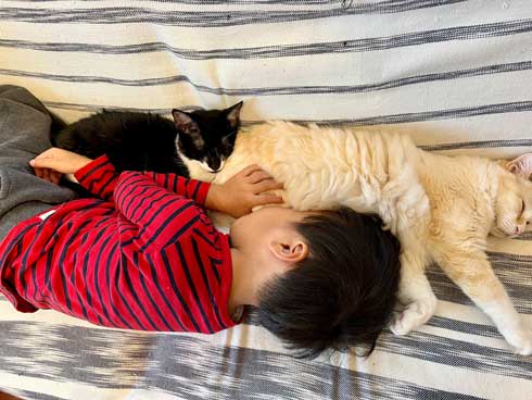 猫 息子 お風呂 行けない 正当な理由 なみそ かわいい