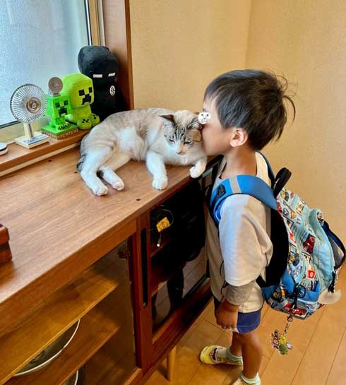 猫 息子 お風呂 行けない 正当な理由 なみそ かわいい