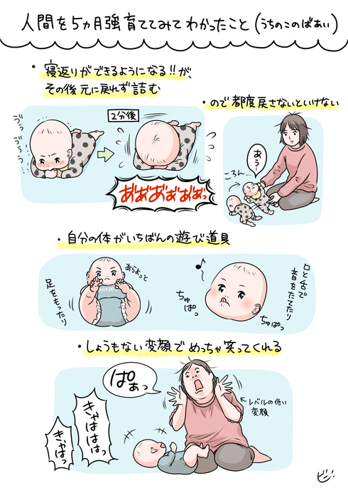 人間を５ヶ月強育ててみてわかったこと01