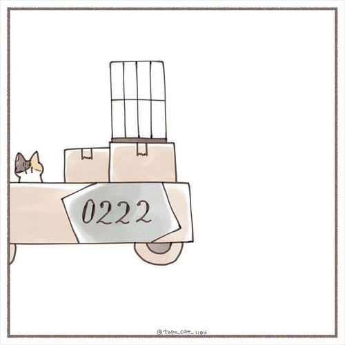 猫 保護猫 子猫 先住 新メンバー 仲良し