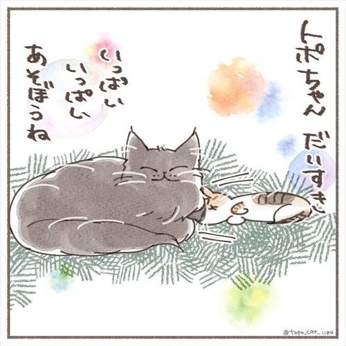 猫 保護猫 子猫 先住 新メンバー 仲良し