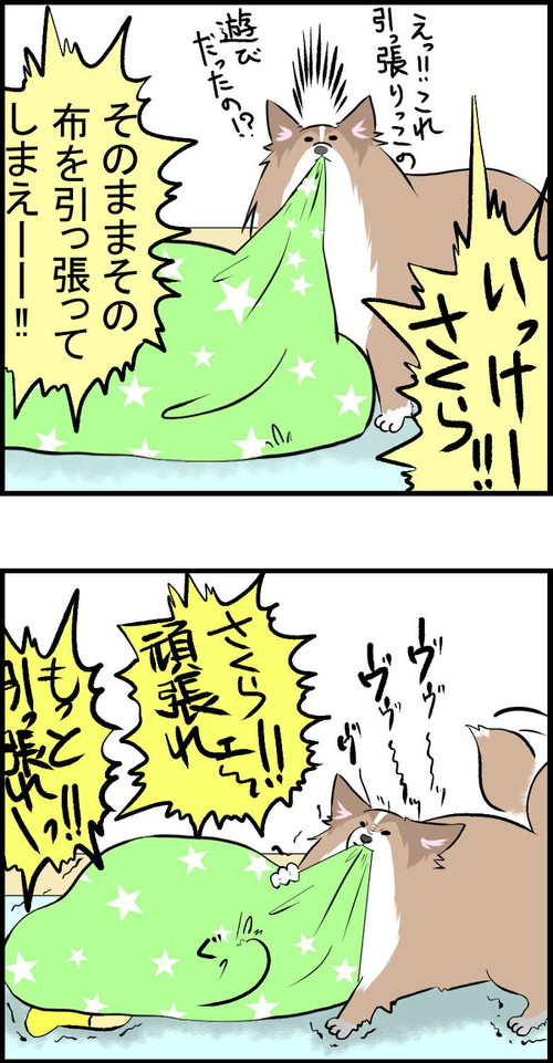 犬漫画 シェルティ 子ども ほっこり ワンコ 朝顔600