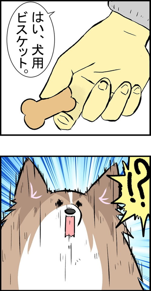 犬漫画 シェルティ 子ども ほっこり ワンコ 朝顔600