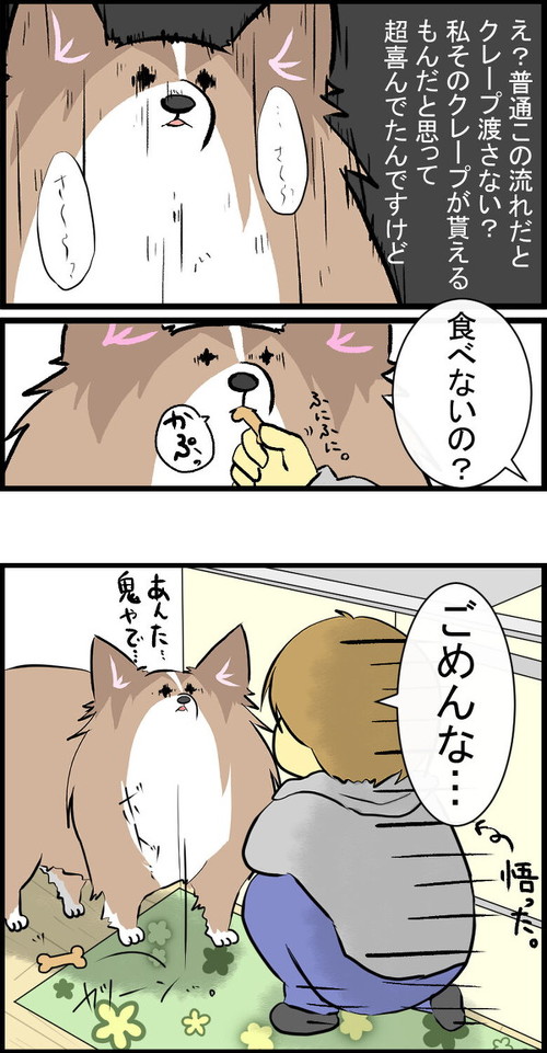 犬漫画 シェルティ 子ども ほっこり ワンコ 朝顔600