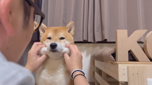おすすめ