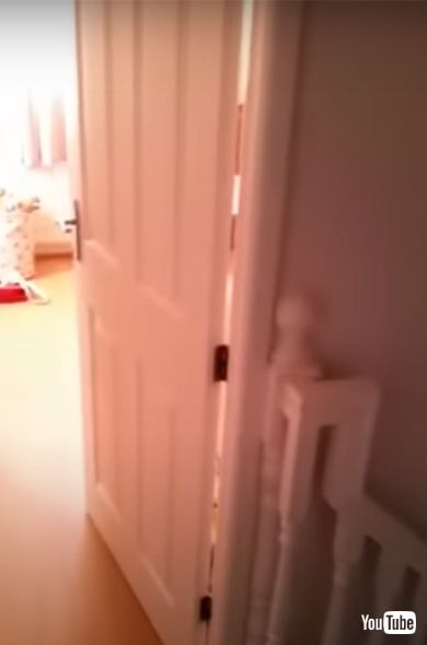 Kids Get Into Trouble Sometimes || ViralHog