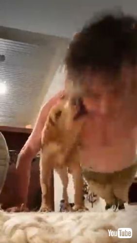 Gets Bombarded With Kisses