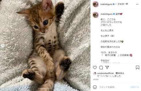 大黒摩季 猫 トットちゃん 徹子の部屋 ペット