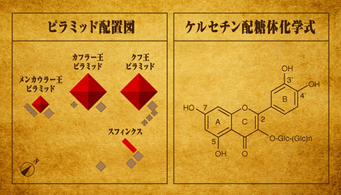 ケルセチンゴールドがピラミッドと関連している説明図