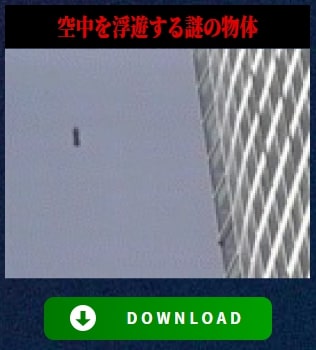 ケルセチンゴールドダウンロードコンテンツ1