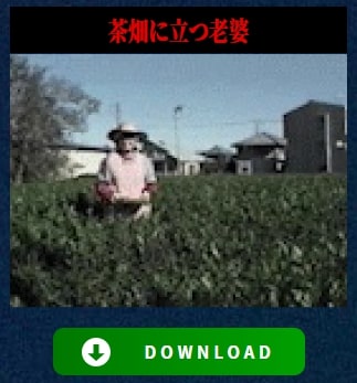 ケルセチンゴールドダウンロードコンテンツ2