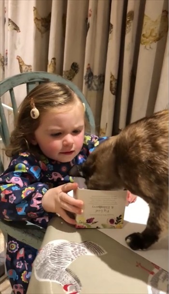 Comedy Pet Photo Awards おもしろ写真コンテスト ペット 面白動画 動物 決定的瞬間