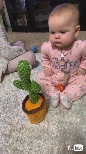 「Baby Has in Depth Conversation With Talking Cactus Toy || ViralHog」