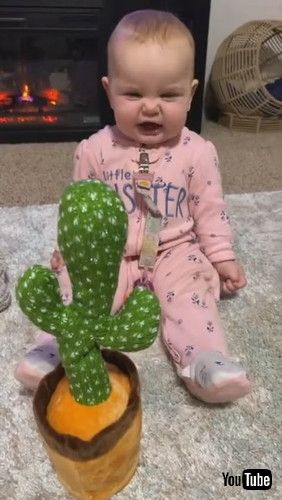 「Baby Has in Depth Conversation With Talking Cactus Toy || ViralHog」