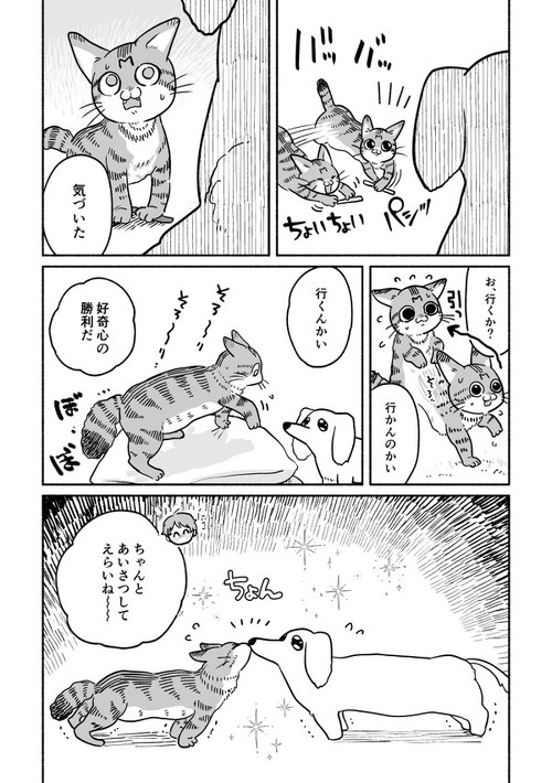 猫マンガ　犬野ねこ　かわいい　シャー　おやつ　ちゅ〜る
