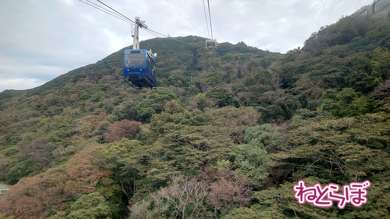線内夜行列車 スターナイトエクスプレス21 乗り鉄