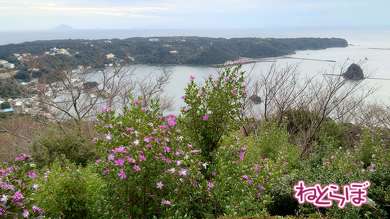 線内夜行列車 スターナイトエクスプレス21 乗り鉄
