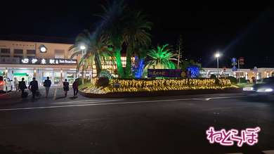 線内夜行列車 スターナイトエクスプレス21 乗り鉄