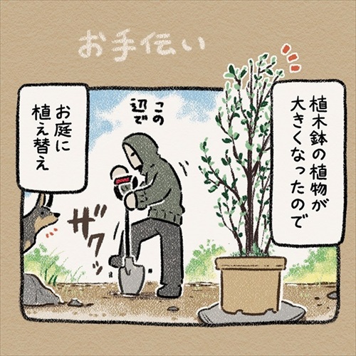 ドーベルマン 手伝い 庭 穴掘り ノラ