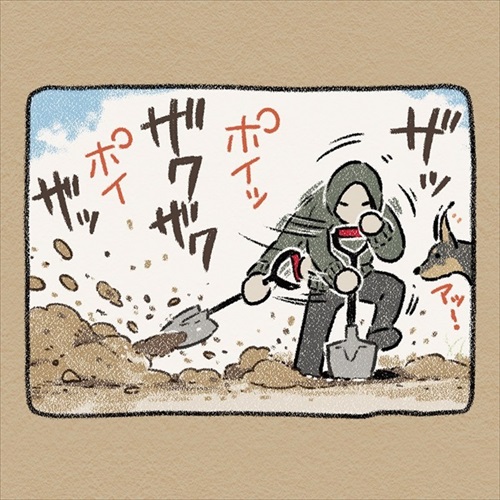 ドーベルマン 手伝い 庭 穴掘り ノラ