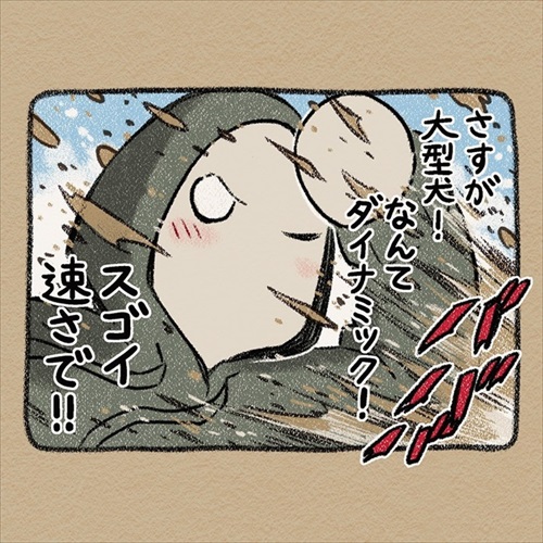 ドーベルマン 手伝い 庭 穴掘り ノラ