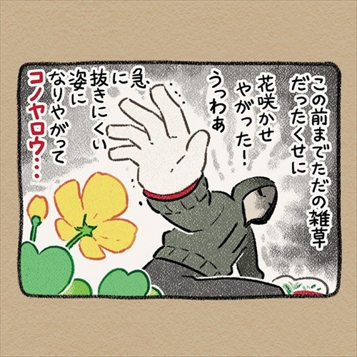 ドーベルマン 手伝い 庭 穴掘り ノラ