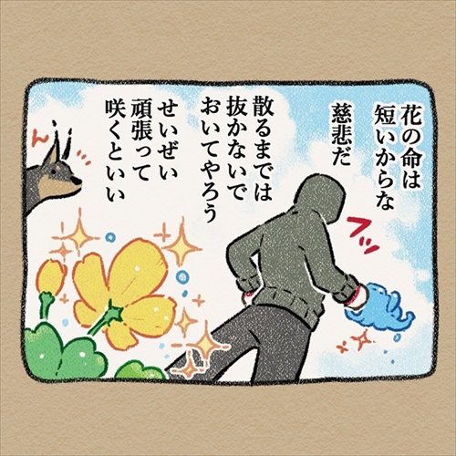 ドーベルマン 手伝い 庭 穴掘り ノラ