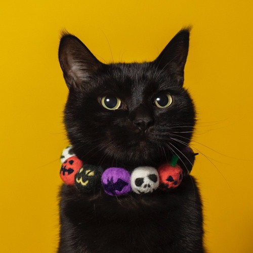 猫 エリザベスカラー カラー ヒダ 刺しゅう