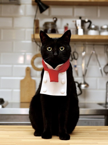 猫 エリザベスカラー カラー ヒダ 刺しゅう