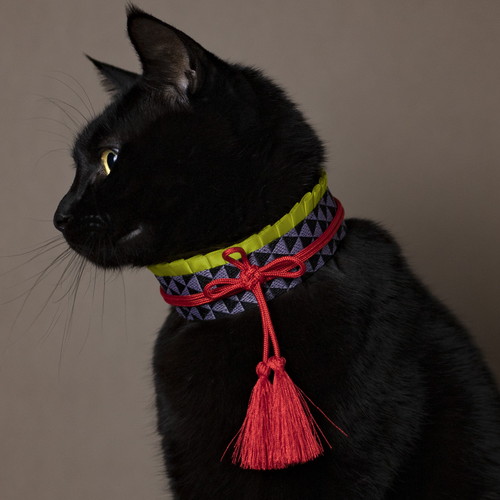 猫 エリザベスカラー カラー ヒダ 刺しゅう