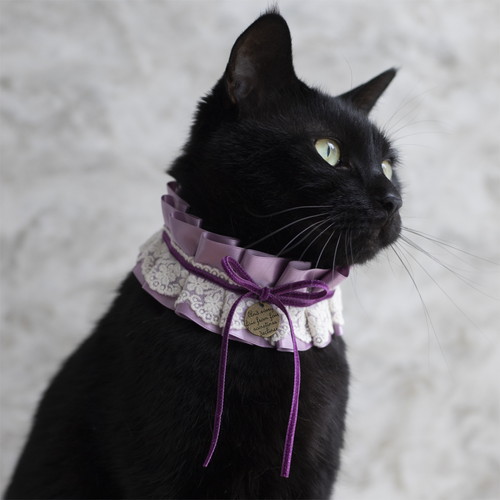 フリフ　黒猫の付け下げ　ターコイズカラー フリフ 黒猫の付け下げ ターコイズカラー