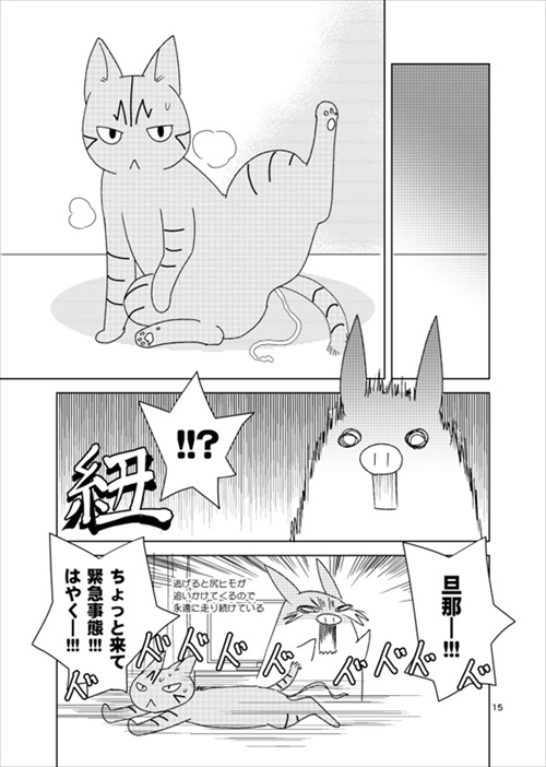 猫の尻からヒモが出た