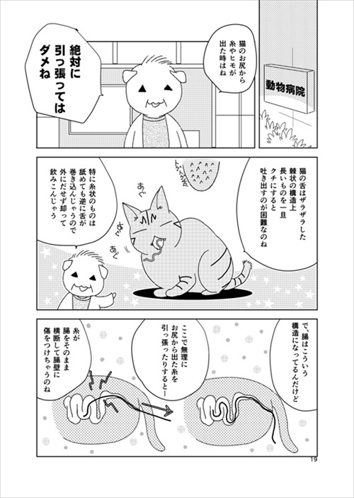 猫の尻からヒモが出た