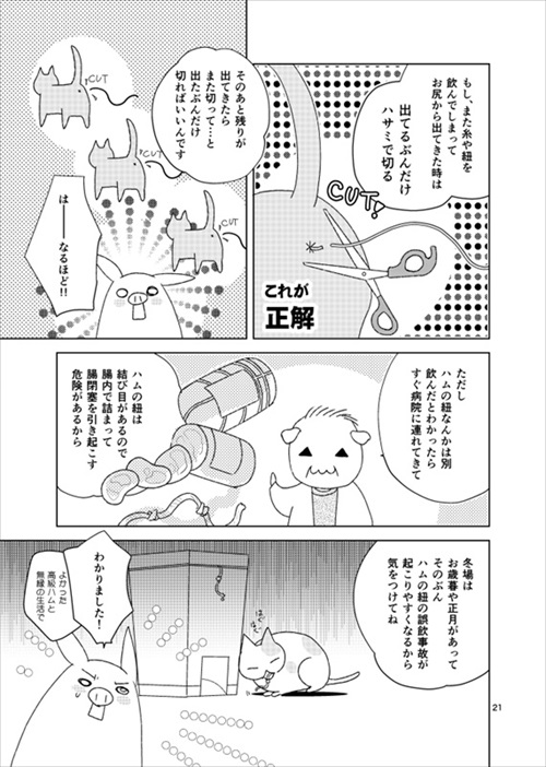 猫の尻からヒモが出た